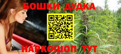 индика Нальчик