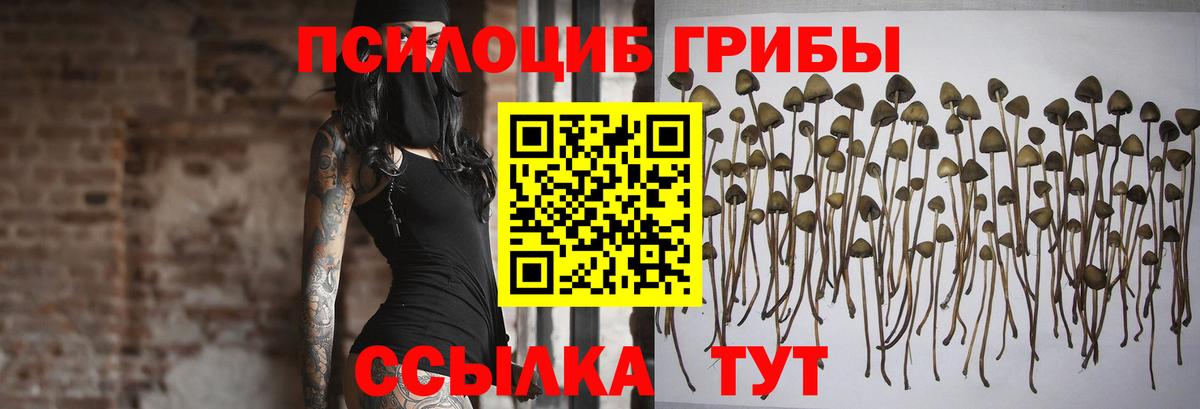 Рязань  Галлюциногенные грибы MAGIC MUSHROOMS  Вход с VPN 